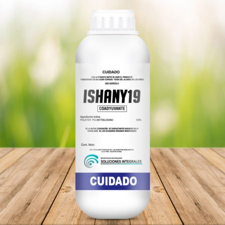 Silicona  ISHANY19